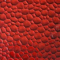 Synthetic leather for shoes