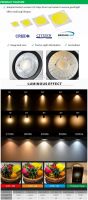China Manufacture 10w 20w 30w Adjustable Rotatable Led Track Spot Light