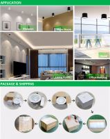 Hotel Shopping Mall High Quality 10w 2.5 Inch Led Surface Mounted Downlight