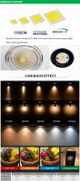 Factory Price 20w 30w Indoor Adjustable Hanging Track Led Spotlight