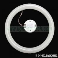 G10Q  LED Circular Tube Light