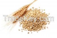 Milling Wheat Grade 1,2,3
