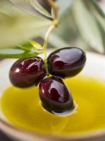 Olive, Olive oil