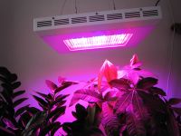 led grow light