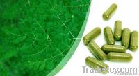 Moringa Powder, Capsules and Vegetarian Tablets