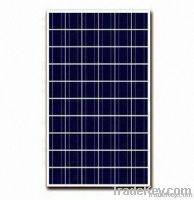 Poly Solar Module