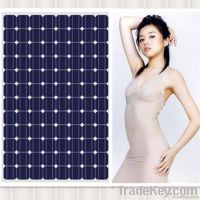 Cheapest!! 200W Photovoltaic Module