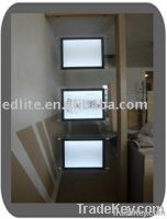 advertising led light box hang inED-DP