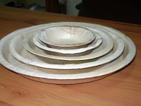 Disposable areca leaf plates