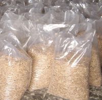 Sawdust Wood Pellet