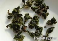 Tieguanyin Orchid