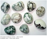 Tree agate polished tumbled stones