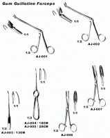 Forcep Instruments