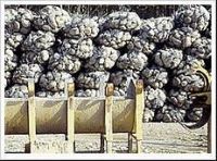 Sack Gabion