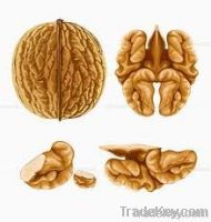 Walnut Buyers | Walnut Importer | Buy Walnut | Walnut Buyer | Low Price Walnut | Cashewnut Suppliers | Cheap Walnut | Wholesale Walnut | Discounted Walnut 