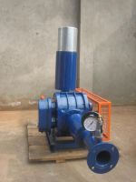 ROTARY TWIN LOBE ROOTS BLOWERS COMPRESSORS