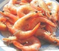 King Prawns