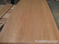 rotary cut hardwood core veneer