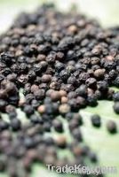 BLACK PEPPER VIETNAM