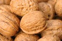 Cheap Walnut | Wholesale Walnut | Discounted Walnut | Bulk Walnut | Walnut Suppliers | Walnut Exporters | Walnut Manufacturers | Walnut Buyer | Import Walnut