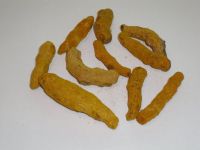 Turmeric