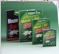 Mouse&Rat Glue Traps
