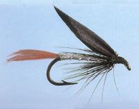 Fishing flies