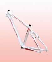 carbon mtb frame