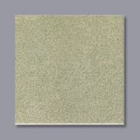 ceramic floor  tile