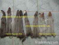 Squirrel Pelts Dressed in Natural Color