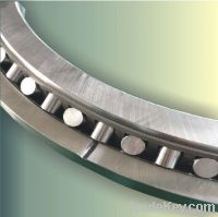 Single-Row Cross Roller Slewing Bearing