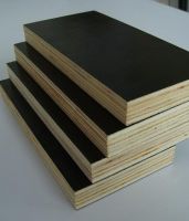 Shuttering Plywood for Construction
