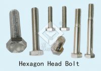 Hexagon Head Bolt