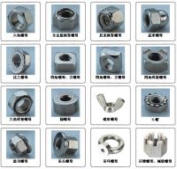 STAINLESS STEEL NUTS