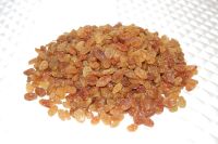 Sultana Raisin (dried grapes)