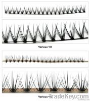 transparent line lash