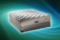 Elgin Plush mattress