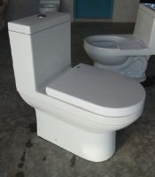 ceramic toilet