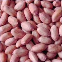 Groundnut, yellow maize
