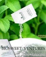 Stevia Sachets