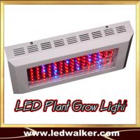 led plant growing light