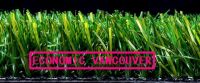NM-004, ECONOMIC VANCOUVER, artificial grass, new moon grass, CE