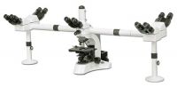 Multi-head viewing microscope