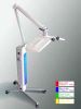 PDT LED skin care/rejuvenation beauty machine/equipment