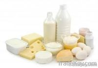 Dairy Products