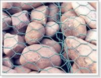 Hexagonal Wire Mesh