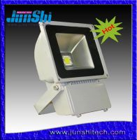 100W LED Flood light