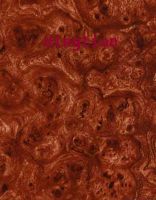 Cubic Transfer Printing Film