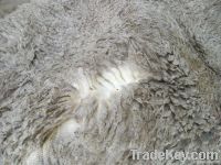 https://ar.tradekey.com/product_view/Air-dried-Lamb-Skins-1914363.html