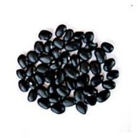 Black Beans White Alubia beans